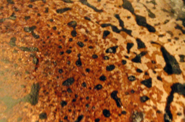 Season a Cast Iron Pan